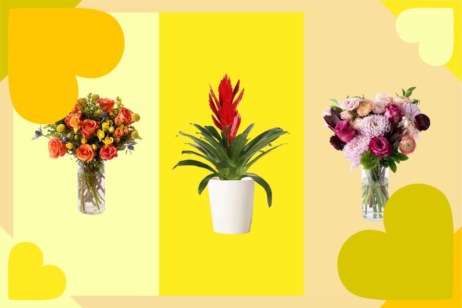 The Best Valentine’s Day Flowers (That You Can Order Online)