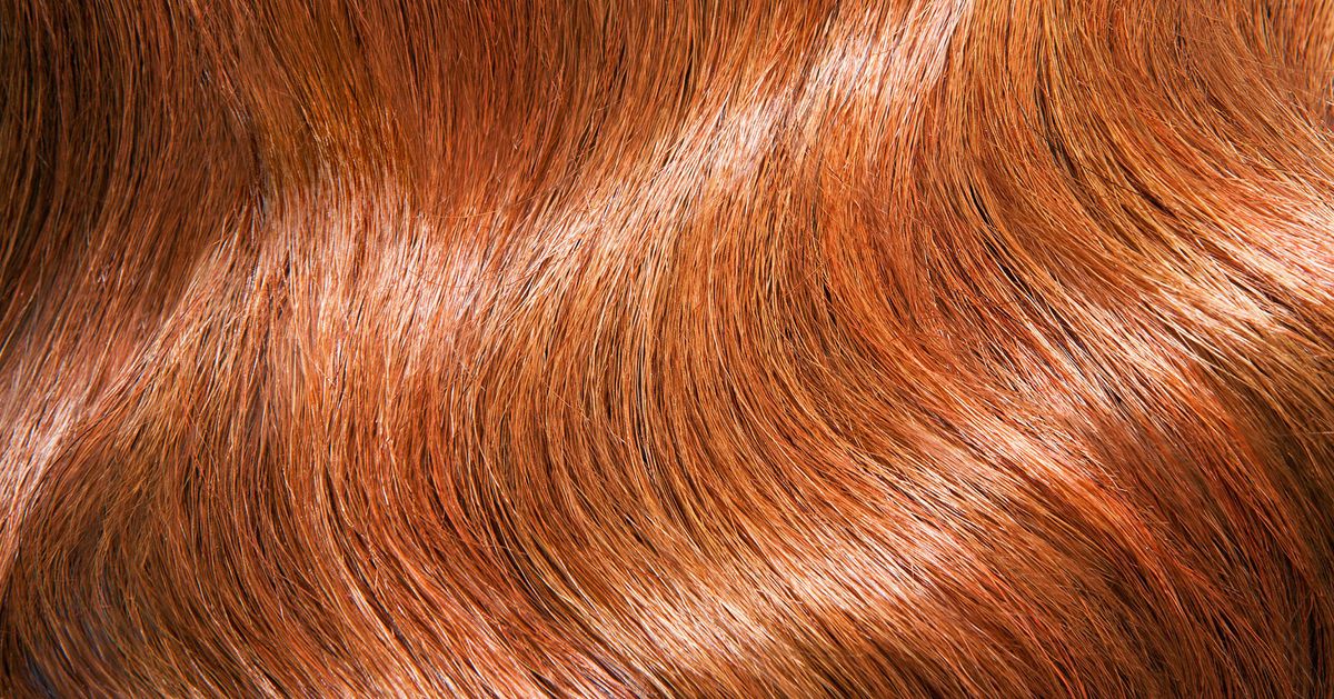 Is Taking Biotin for Hair Growth a Good Idea?