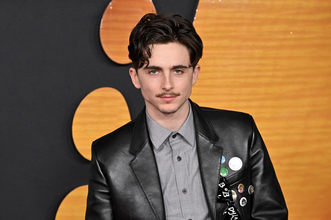 Stop Stereotyping Timothée Chalamet