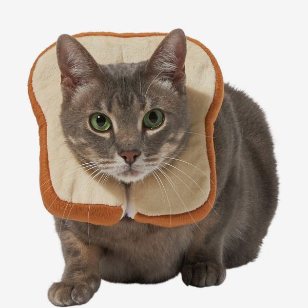 Frisco Bread Cat Costume
