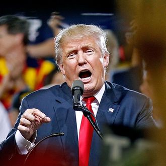 Donald Trump Holds Campaign Rally In Phoenix, Arizona