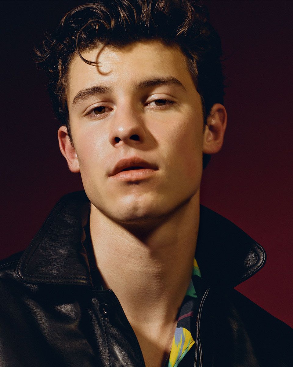 Fi atent la nu am observat complet shawn mendes cool mordant Apendice ...