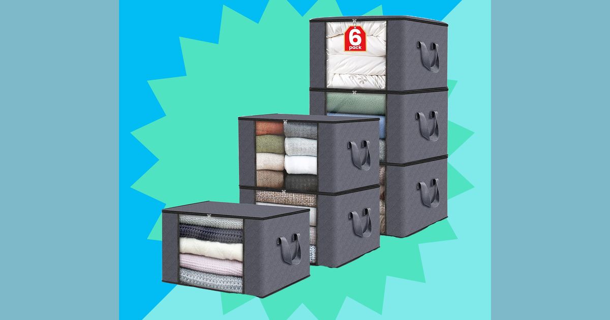 Fab Totes 6Pack Storage Bag Sale 2023 The Strategist