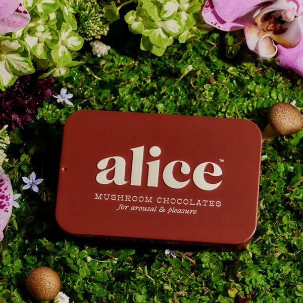 Alice Happy Ending Mushroom Chocolates