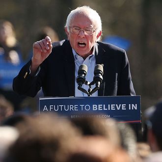 Bernie Sanders Holds Campaign Rally In Brooklyn's Prospect Park