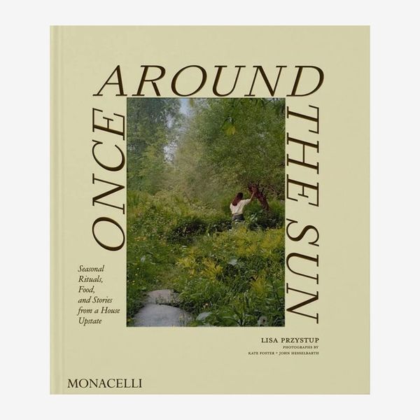 ‘Once Around the Sun,’ by Lisa Przystup