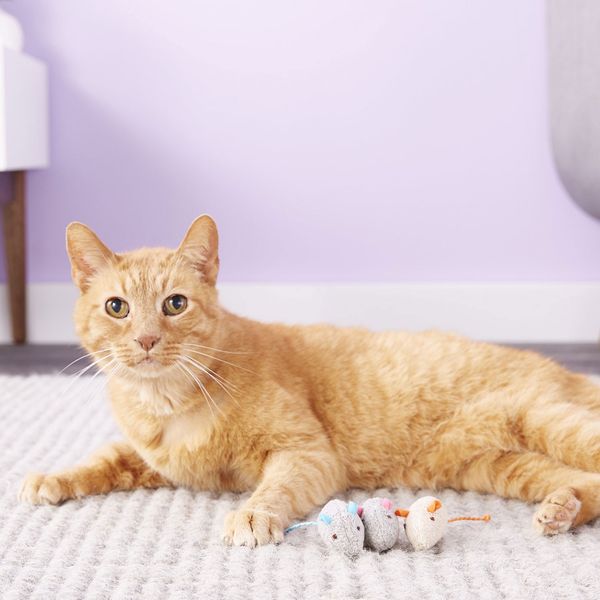 SmartyKat Skitter Critters Catnip Cat Toy