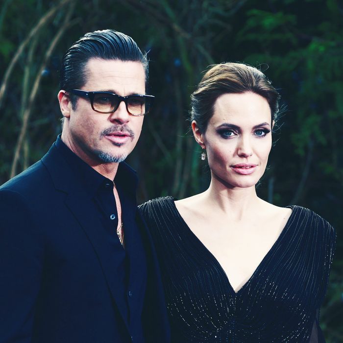 Brad and Angelina’s Divorce Has Incredibly Complex The Cut