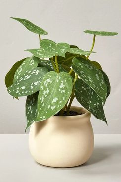 15 Best Faux Plants That Look So Lifelike, You Would Think They Were Real