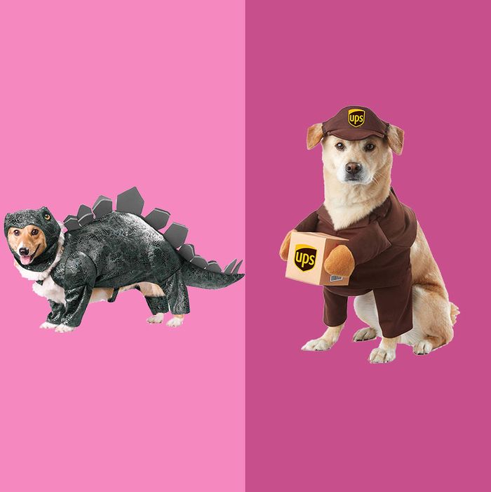 amazon puppy costume