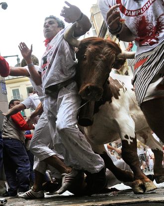 PAMPLONA, SPAIN - JULY 07: A man tries to avoid a steer that broke away from the pact of fighting bulls during the second day of the San Fermin running-of-the-bulls on July 7, 2011 in Pamplona, Spain. Pamplona's famous Fiesta de San Fermin, which involves the running of the bulls through the historic heart of Pamplona for eight days starting July 7th, was made famous by the 1926 novel of U.S. writer Ernest Hemmingway called 'The Sun Also Rises'. on July 7, 2011 in Pamplona, Spain. (Photo by Denis Doyle/Getty Images)