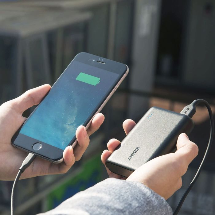 9 Best Portable Chargers and Power Banks 2021 The Strategist