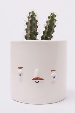 Friend Assembly Medium Keith Face Planter