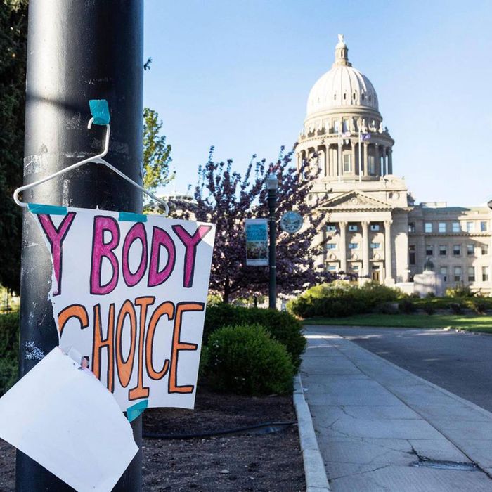 Idaho Finds A New Way To Criminalize Abortion