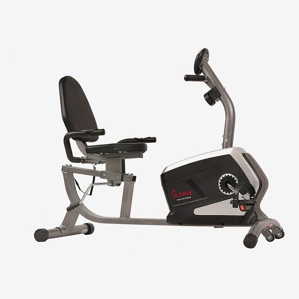 Sunny Health and Fitness Recumbent Exercise Bike