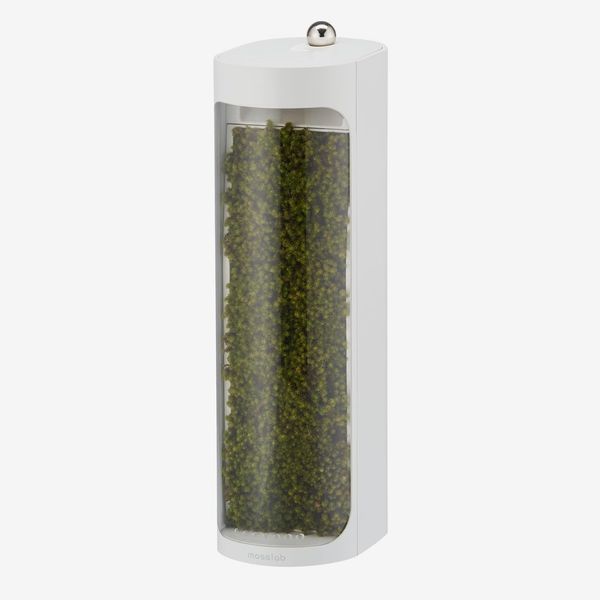 Moss Air - Living Moss Humidifier