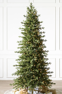 Balsam Hill Red Spruce Slim Flip Tree