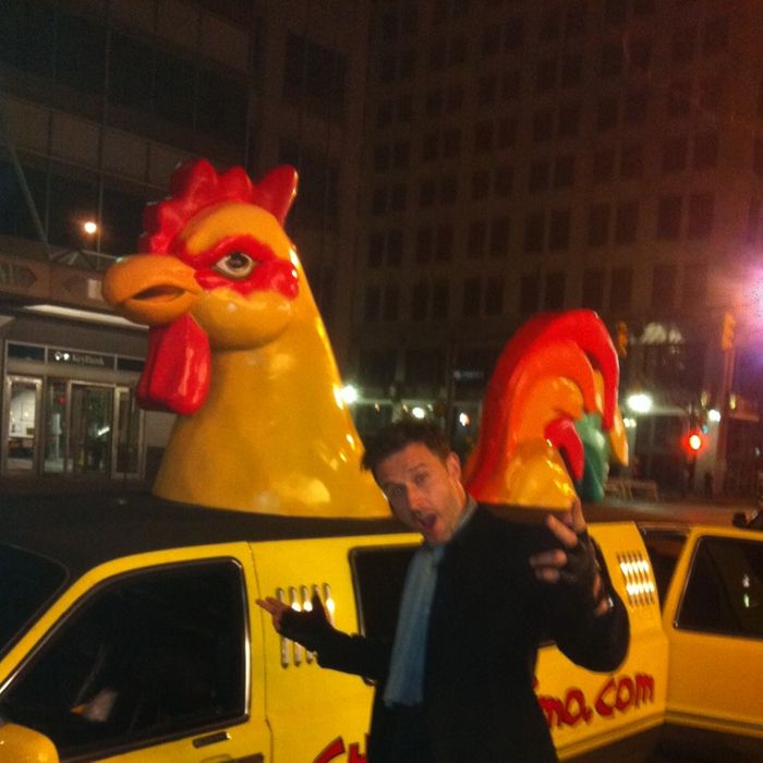 Chick-magnet.