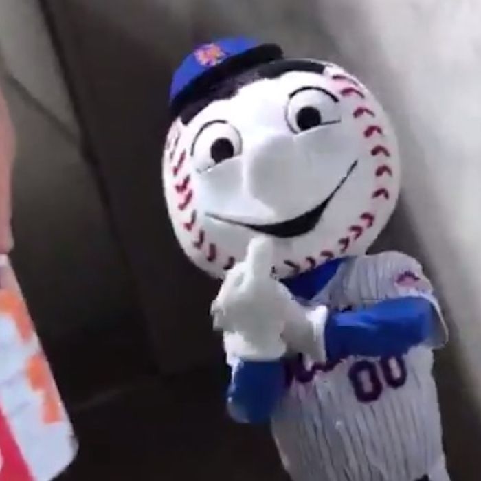 Mr met 2