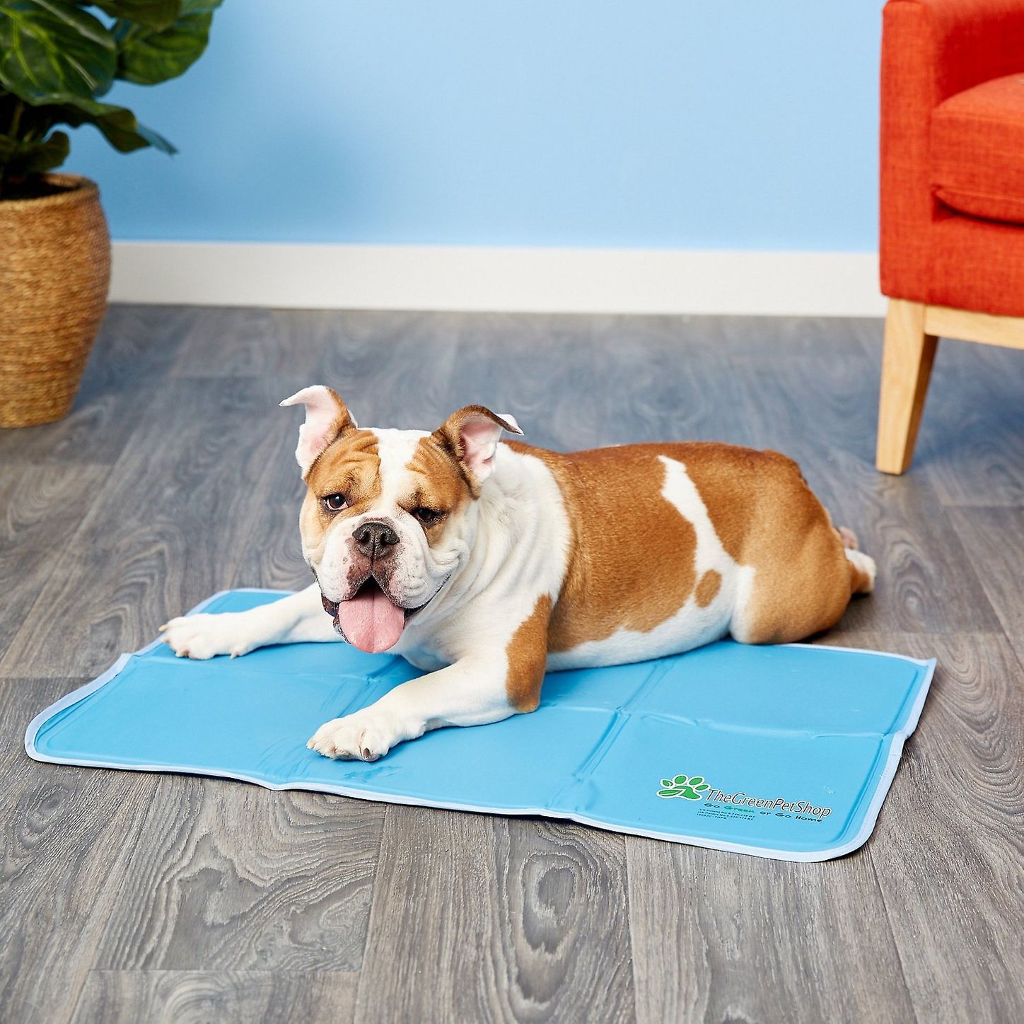 Dog Cooling Mat, Pet Cooling Pads for Dogs - Dog Mats Dog Accessories Dog  Cooling Vest to Help Your Pet Stay Cool - Avoid Overheating, Ideal for Home  & Travel (Blue Cooling