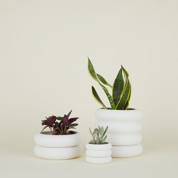 https://pyxis.nymag.com/v1/imgs/f1c/cee/90f3260d3c4e166f6e2219c8c1d36c7521-hawkins-planters.rsquare.w600.jpg