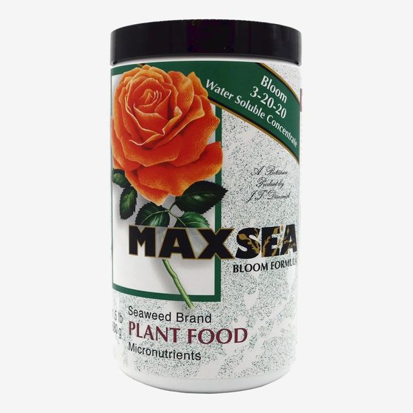 Maxsea Bloom Fertilizer