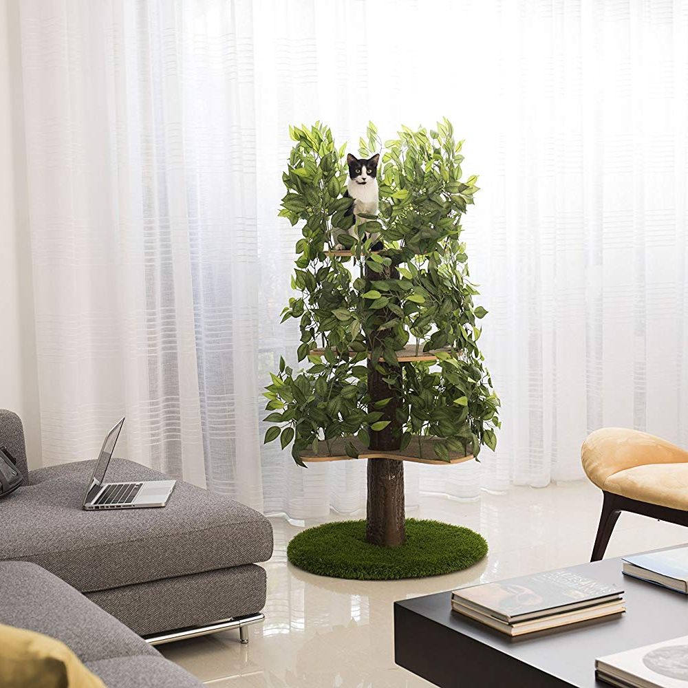 best cat trees 2019