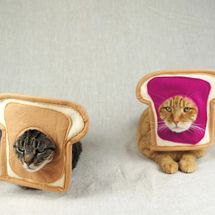 Miss Maddy Makes Peanut Butter and Jelly Couples Costume for Cats