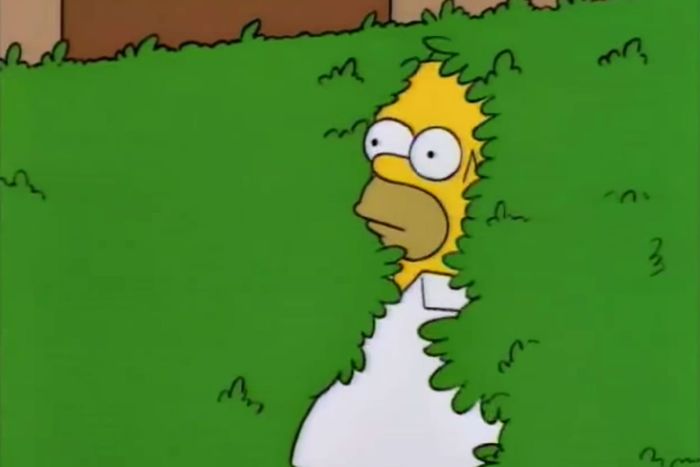 The Story Of The Homer Simpson Backs Into The Bushes Meme