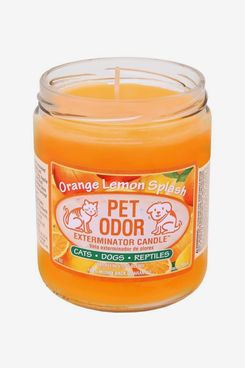 Pet Odor Exterminator Candle, Orange Lemon Splash
