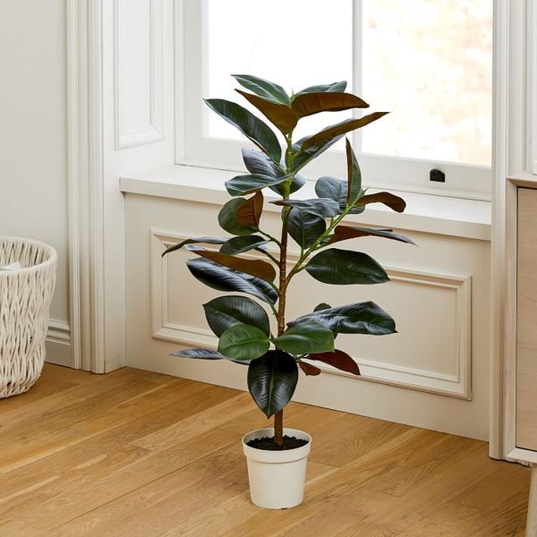 Green Nearly Natural 6411 2’ Ficus Artificial Tree Plant 