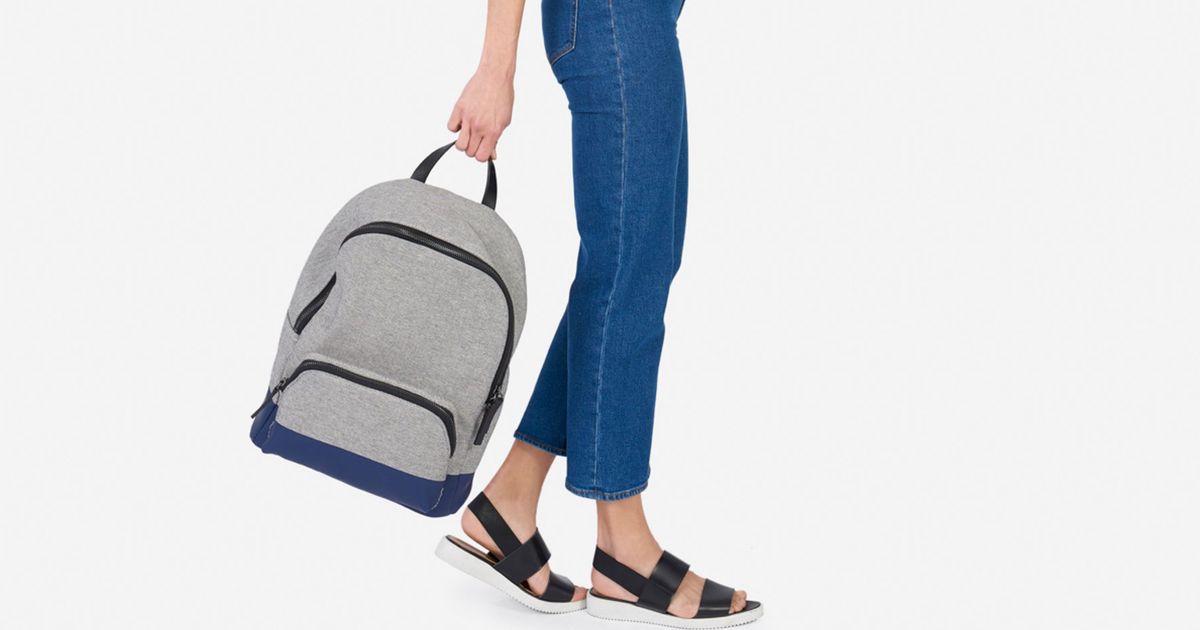 Everlane Backpack on Sale 2018 The Strategist