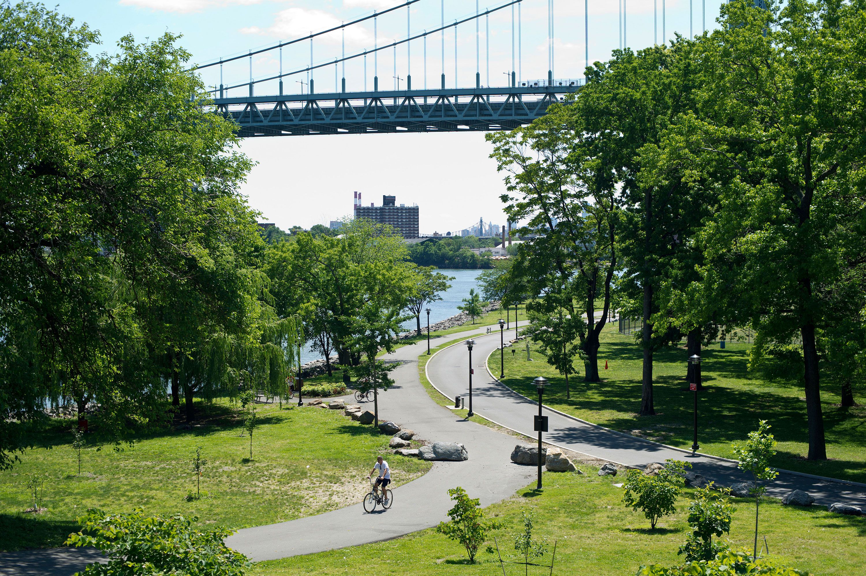 are dogs allowed at randalls island