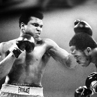 essay on muhammad ali boxer