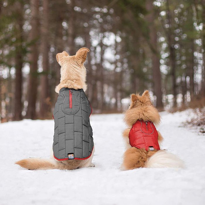 heavy dog coats