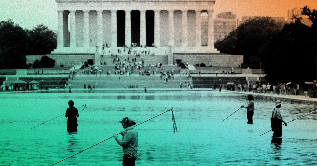 A Swimming-Pool Guru's Take on Trump's D.C. Debacle