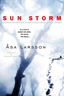 ‘Sun Storm’ by Asa Larson