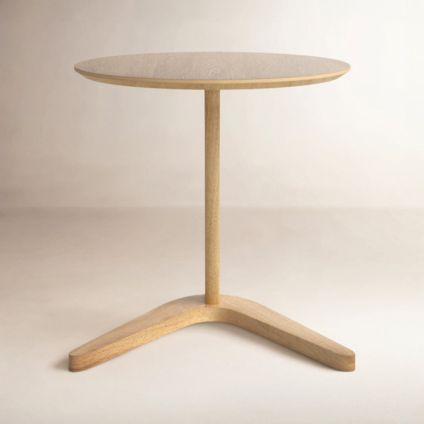 AllModern Healey End Table