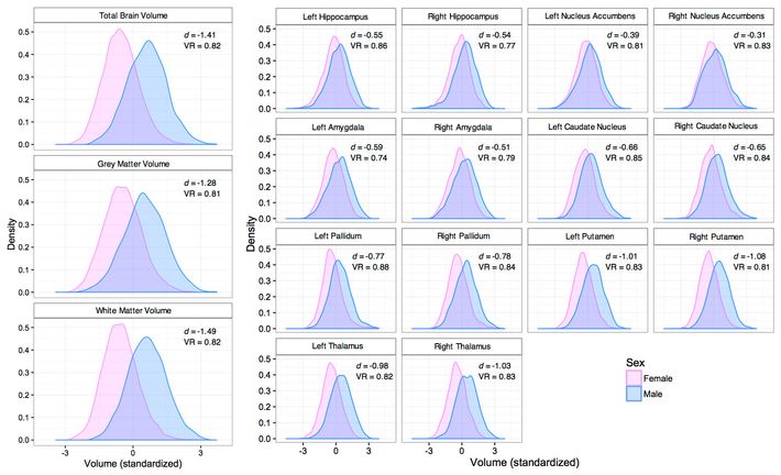 Heres The Biggest Study Yet On Brain Based Sex Differences