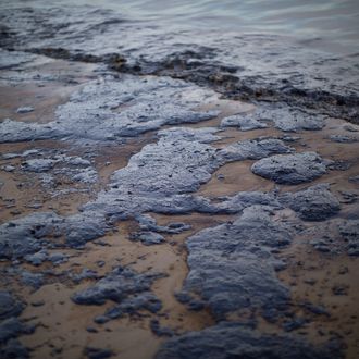 Ruptured Pipeline Spills Oil Along Santa Barbara Coast