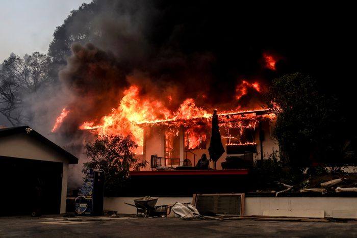 Wildfires force thousands of evacuations in Los Angeles area, Malibu, USA - 08 Jan 2025