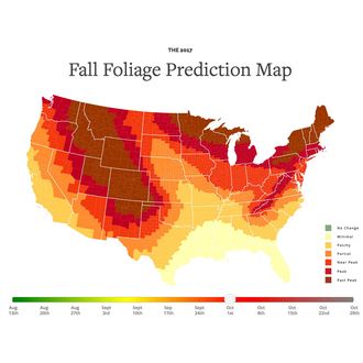 This Map Will Tell You When Your Area Will Achieve Peak Fall
