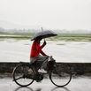 Rainfall Continues In Kashmir