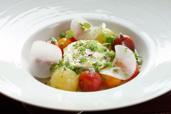 Tomato salad, tomato jelly, Lioni burrata, basil granité.