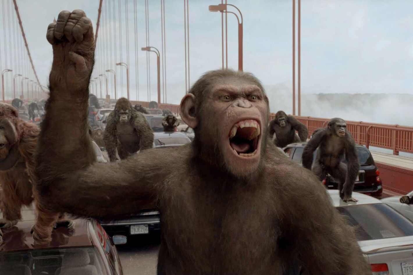 Movie Review: The Fast, Tense, Soulful Rise of the Planet of the Apes -  Movie Review - Vulture