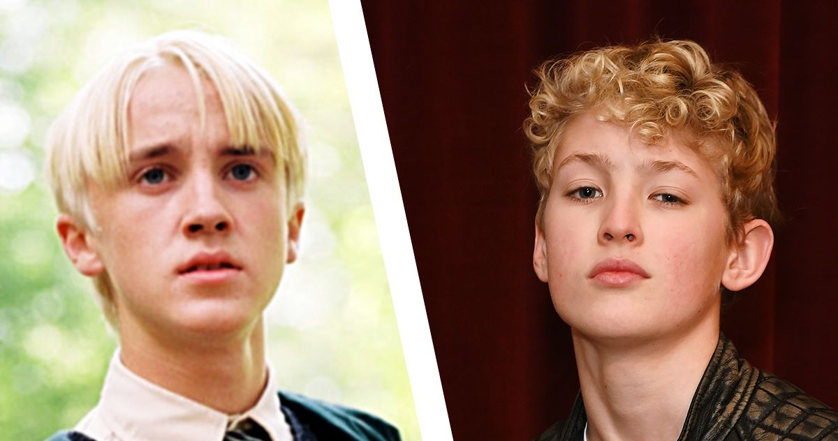 The Harry Potter TV Show Will Go Full Fanfic