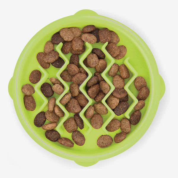 19 Best Food Puzzles for Cats and Dogs 2023