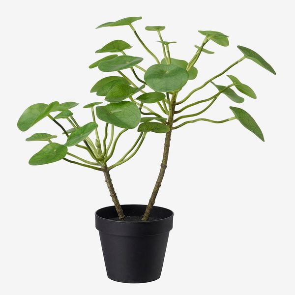 FEJKA Artificial potted plant, indoor/outdoor Pilea 4 ¾