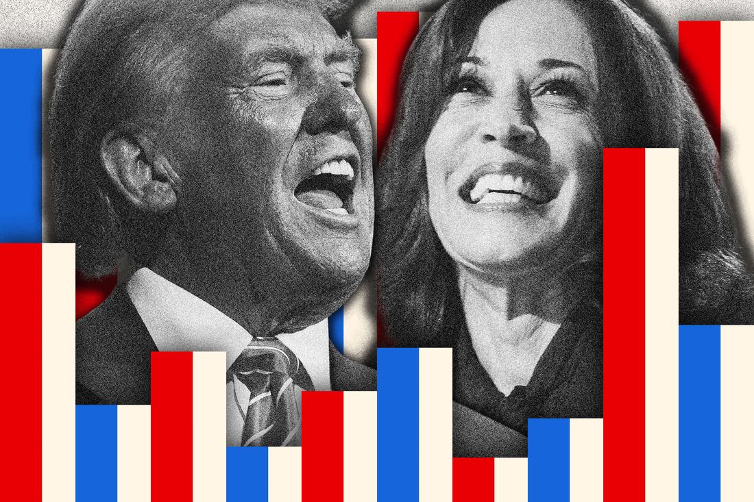 Harris vs. Trump Polls: Don’t Believe Trump ‘Momentum’ Hype