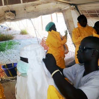 A picture taken on June 28, 2014 shows members of Doctors Without Borders (MSF) putting on protective gear at the isolation ward of the Donka Hospital in Conakry, where people infected with the Ebola virus are being treated. The World Health Organization has warned that Ebola could spread beyond hard-hit Guinea, Liberia and Sierra Leone to neighbouring nations, but insisted that travel bans were not the answer. To date, there have been 635 cases of haemorrhagic fever in Guinea, Liberia and Sierra Leone, most confirmed as Ebola. A total of 399 people have died, 280 of them in Guinea. 